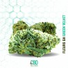 Fleur de CBD : Green Velvet