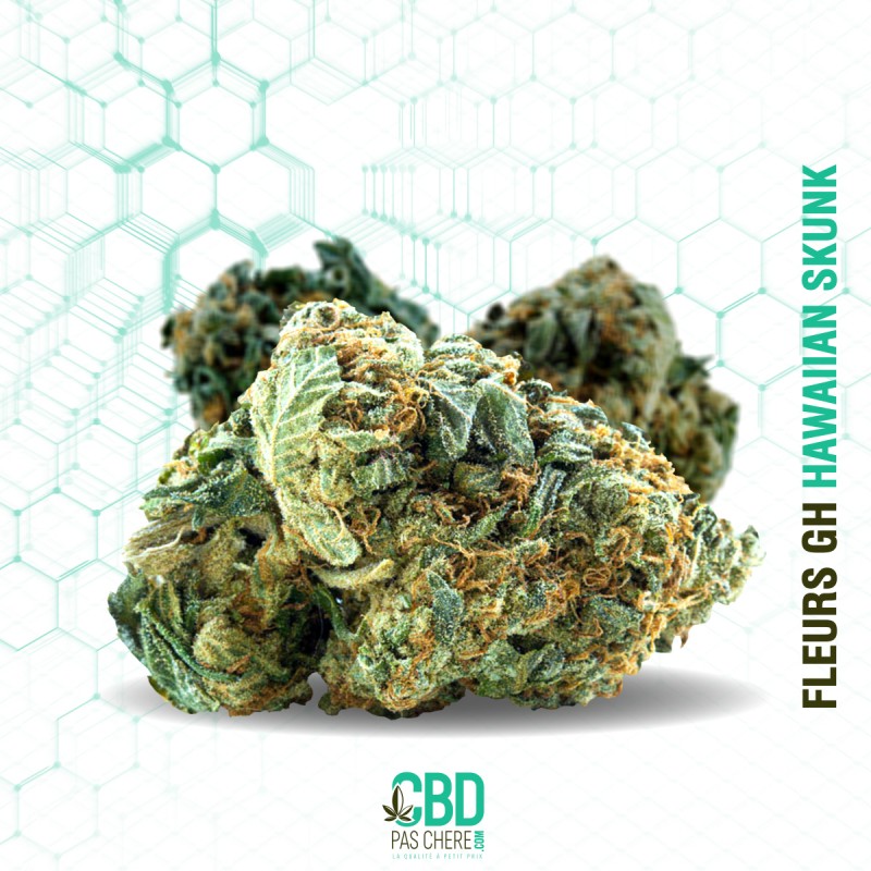 Fleur de CBD : Hawaiian Skunk