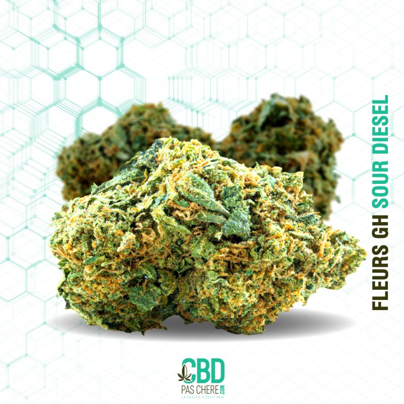 Fleur de CBD : Sour Diesel GH