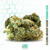 H4CBD : Orange Bud (H4CBD) - Premium