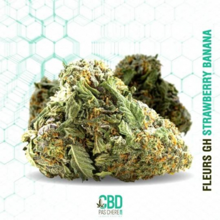 Fleur de CBD : Strawberry Banana GH