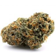 Fleur de CBD : Orangello