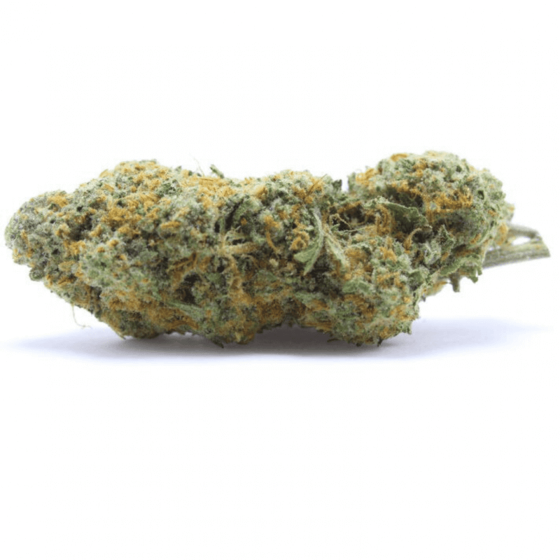 Fleur de CBD : Chocolate Kush Fleur de CBD : Chocolate Kush