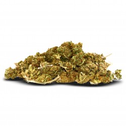 Pack 25g Shrek (Limited...