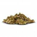 Pack 25g Critical Limited édition - cbdpaschere