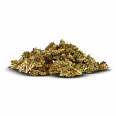 Pack 25g Critical Limited édition - cbdpaschere