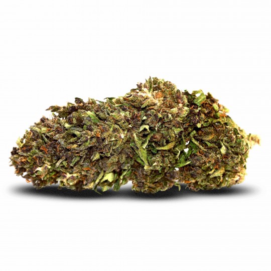 Fleur de CBD : Northen Light