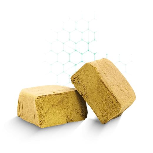 Gold Marocain MSC Gold Marocain MSC