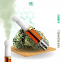 Cartouches Vape Pen Nature - 98% CBD - CBDPasCher