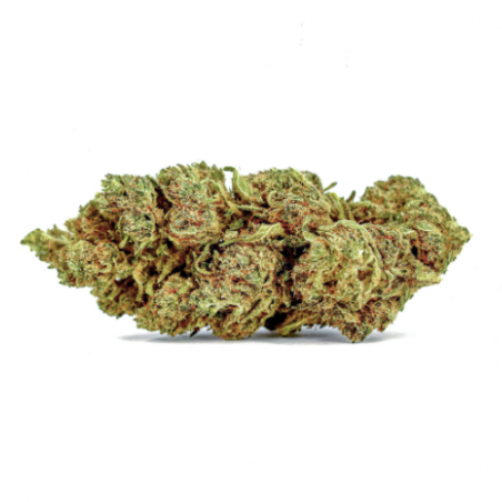 Fleur de CBD : Candy Kush