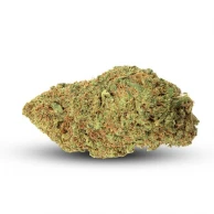 Orange Bud THV+