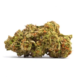 Godfather OG THV+