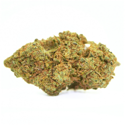 Fleur de CBD : Silver Haze CBD