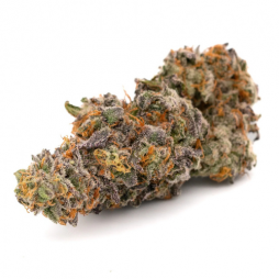 Fleur de CBD : Purple Haze CBD