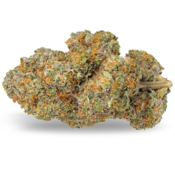 Fleur de CBD : Dynamite CBD