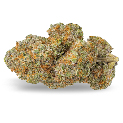 Fleur de CBD : Dynamite CBD Fleur de CBD : Dynamite CBD
