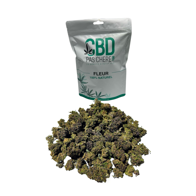 Fleur de CBD : 25g Small Bud - Purple Kush Fleur de CBD : 25g Small Bud - Purple Kush