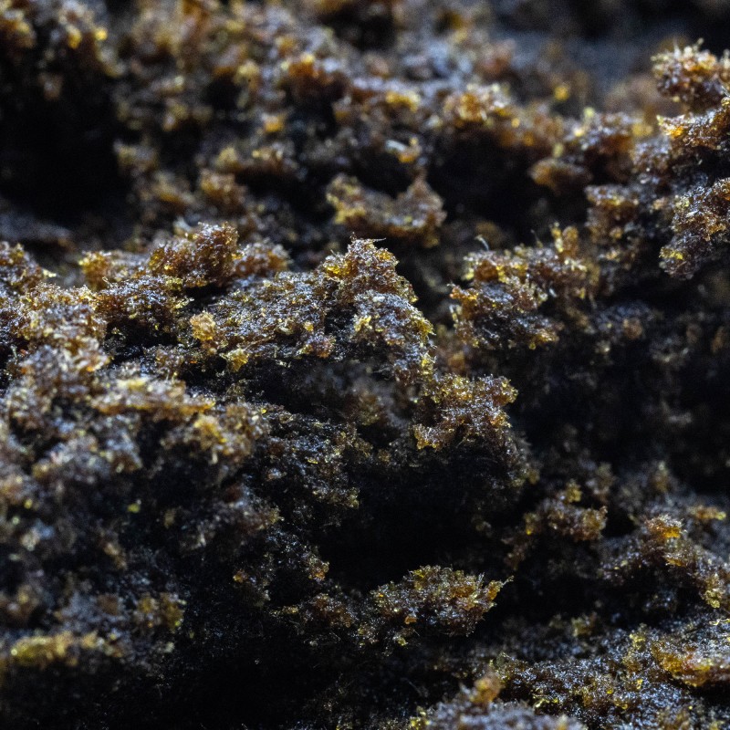 Hash Résine CBD : Black Hash Hash Résine CBD : Black Hash