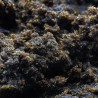Hash Résine CBD : Black Hash Hash Résine CBD : Black Hash