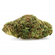 Zkittlez CBD+