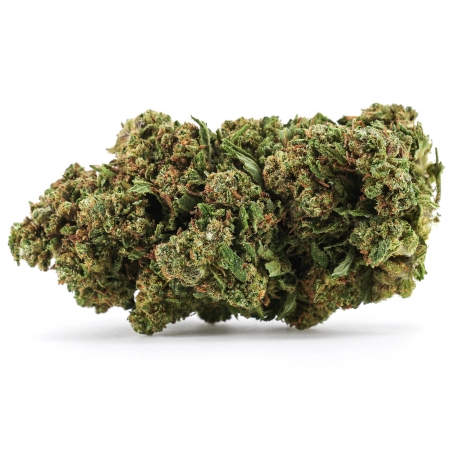 Runtz CBD+ – 32 % CBD | Fleur Indoor | CBD Pas Chère