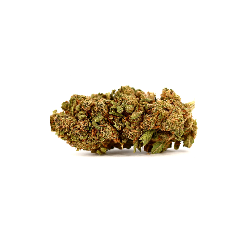 Fleur de CBD : Mobydick CBD Fleur de CBD : Mobydick CBD