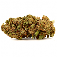 Fleur de CBD : Mobydick CBD