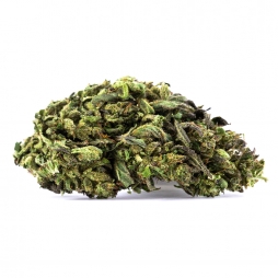 Fleur de CBD : Hawaiian Skunk