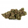 Fleur de CBD : Northen Light Fleur de CBD : Northen Light