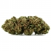 Fleur de CBD : Orange Bud CBD