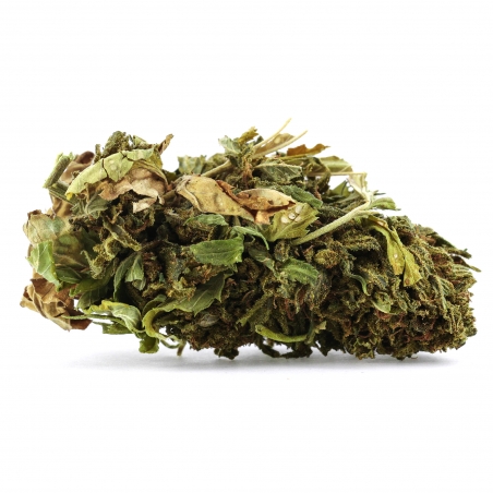 Fleur de CBD : Sour Diesel GH