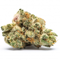 Fleur de CBD : Obi-Wan CBD