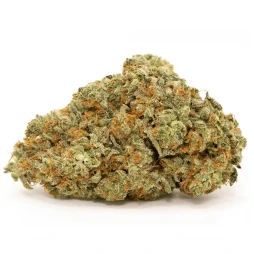 Pineapple Express CBD