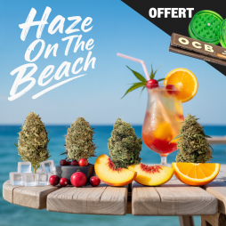 Haze On The Beach