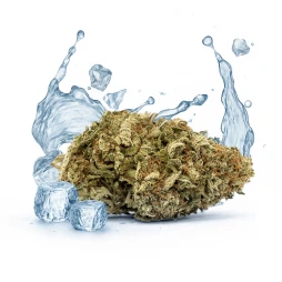 Vodk'Haze CBD