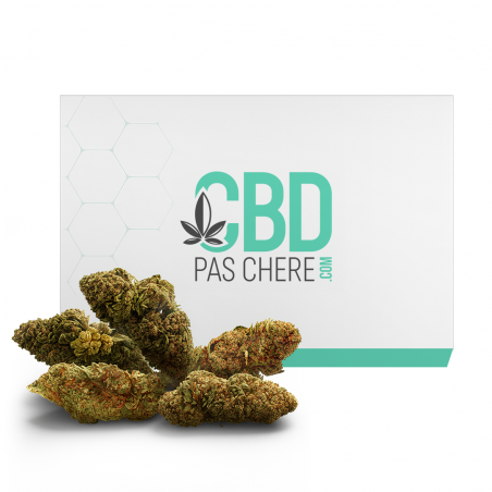 Pack Éco Fleur CBD pas cher | CBD PAS CHERE
