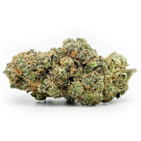 Fleur de CBD : Cannabliss