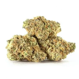 Fleur de CBD : Calm Leaf CBG