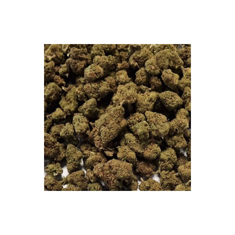 Fleur de CBD : 25g Small Bud - Plutonium US Fleur de CBD : 25g Small Bud - Plutonium US