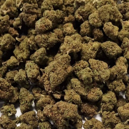 Fleur de CBD : 25g Small Bud - Plutonium US