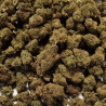 Fleur de CBD : 25g Small Bud - Plutonium US Fleur de CBD : 25g Small Bud - Plutonium US