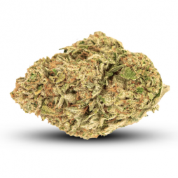 Fleur de CBD : Trainwreck