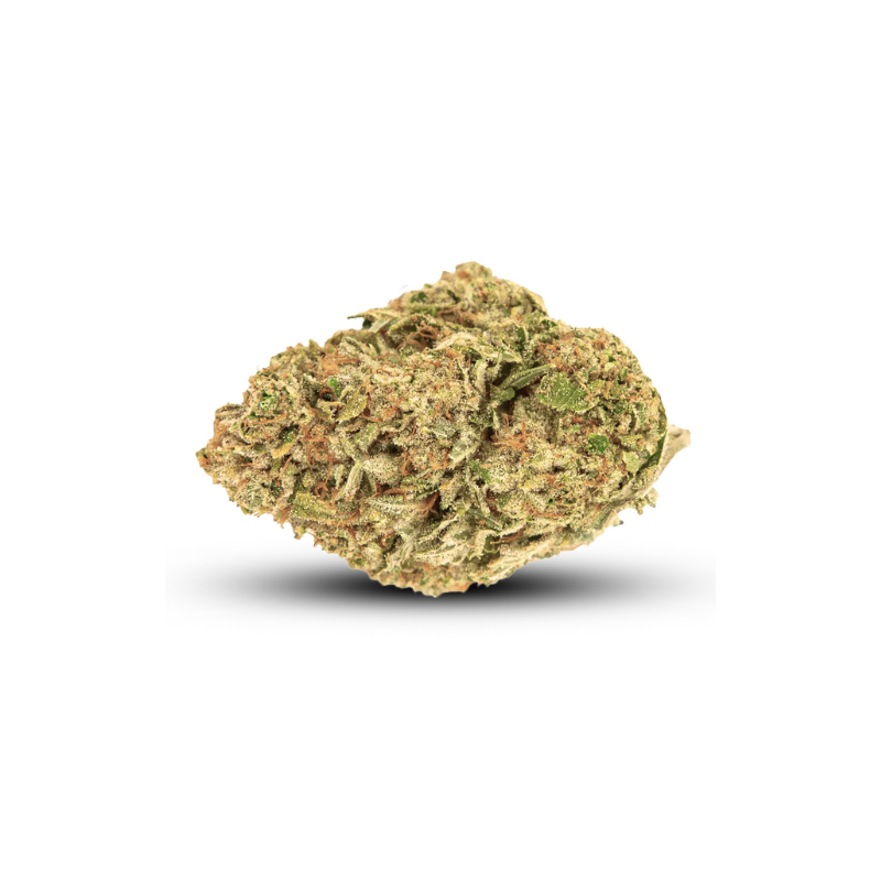Fleur de CBD : Trainwreck Fleur de CBD : Trainwreck
