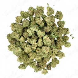Fleur de CBD : Small Bud - Sweet Cheese