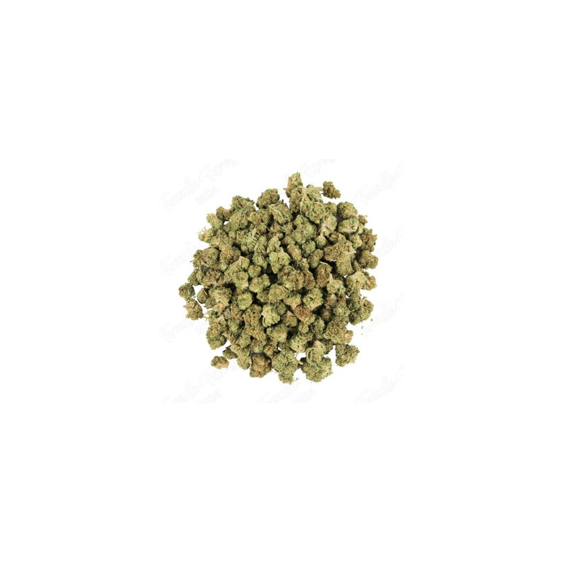 Fleur de CBD : Small Bud - Lemon Haze Fleur de CBD : Small Bud - Lemon Haze
