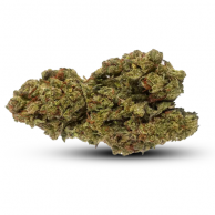 Critical Mass