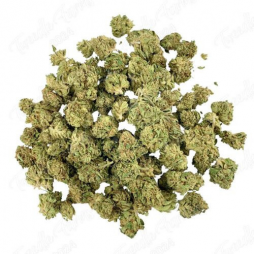 Fleur de CBD : Small Bud – Cheetah Piss