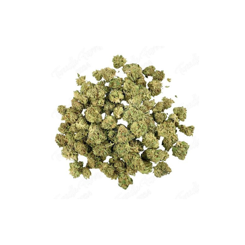 Fleur de CBD : Small Bud – Cheetah Piss Fleur de CBD : Small Bud – Cheetah Piss