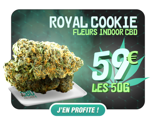 Royal cookie CBD