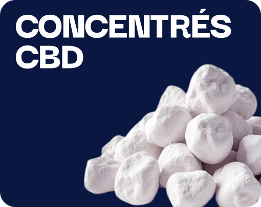 Concentrés de CBD